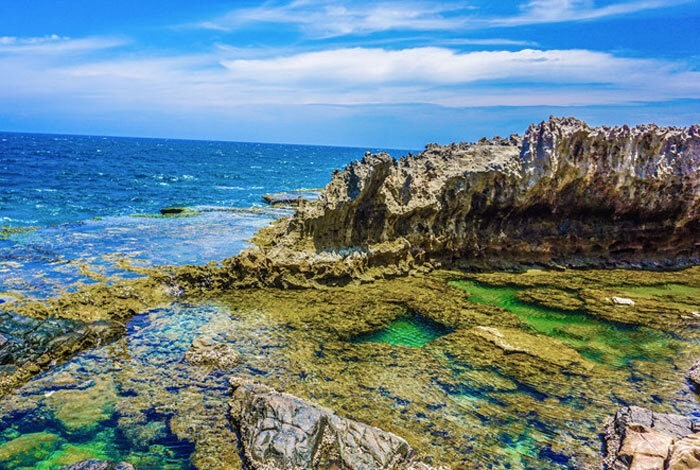 Tour Đồng Cừu - Vườn Nho - Hang Rái 1 Ngày